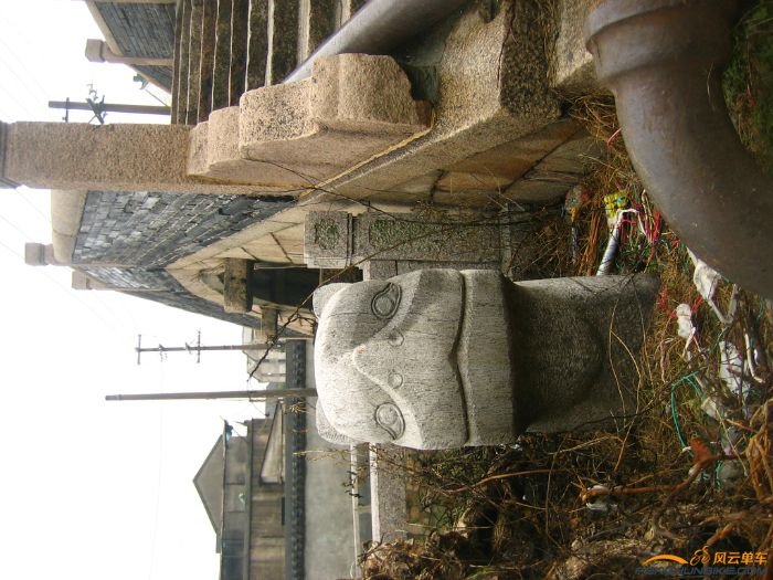 山塘街最北端的狸