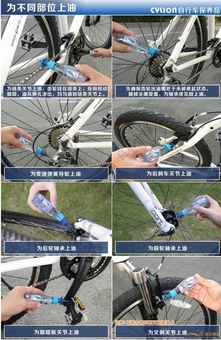 赛领 蓝瓶10_副本.jpg