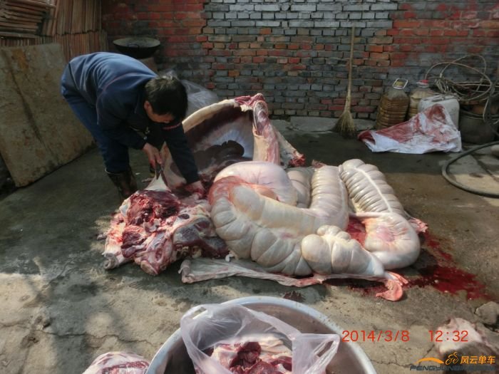 现场杀驴,太血腥,没敢发作业里