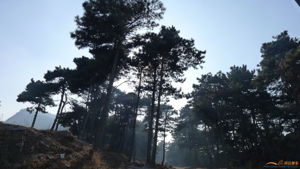 P1110404 (复制).JPG