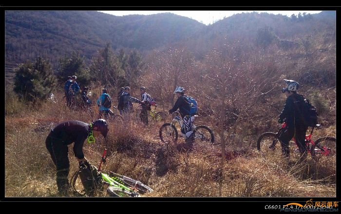 花大爷失踪了,群魔炸锅