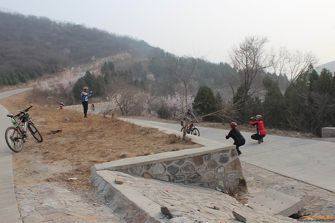 春之声老哥上来了