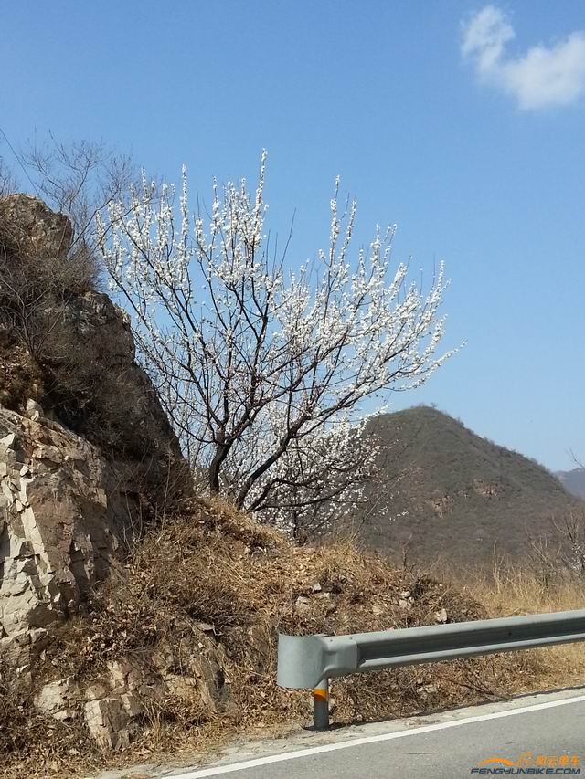 调整大小 旋转 20140329_104027.jpg