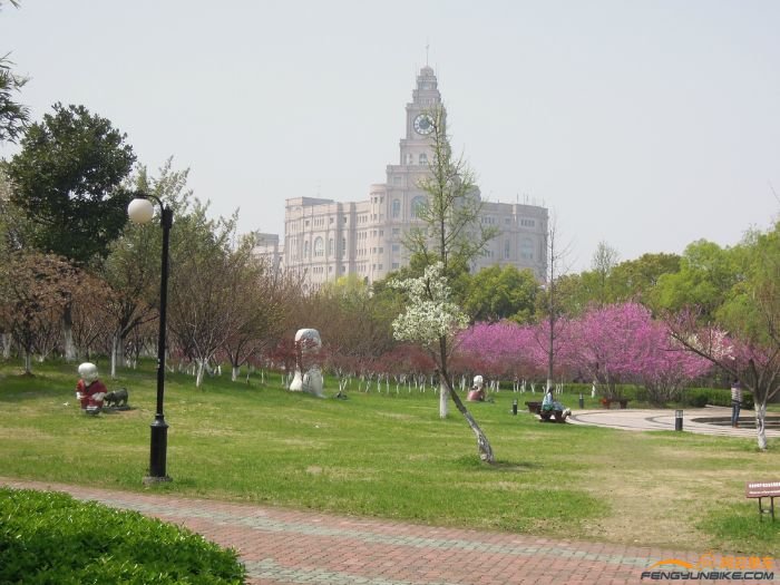 中央公园的一角