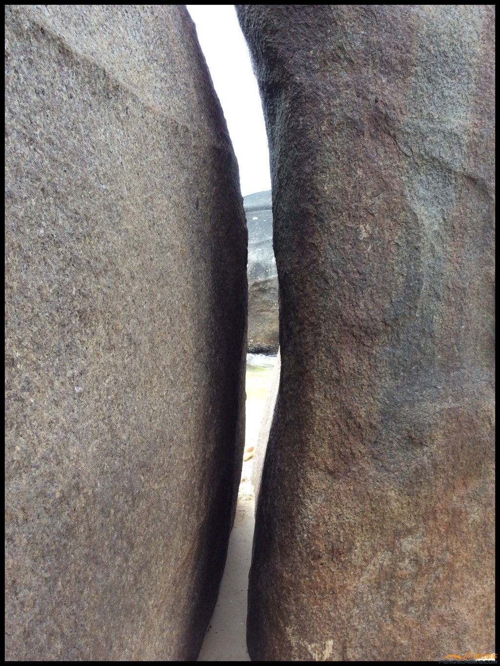 conew_照片 333.jpg