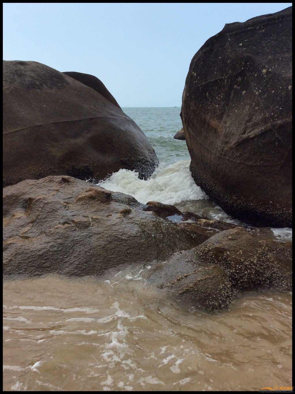 conew_照片 334.jpg