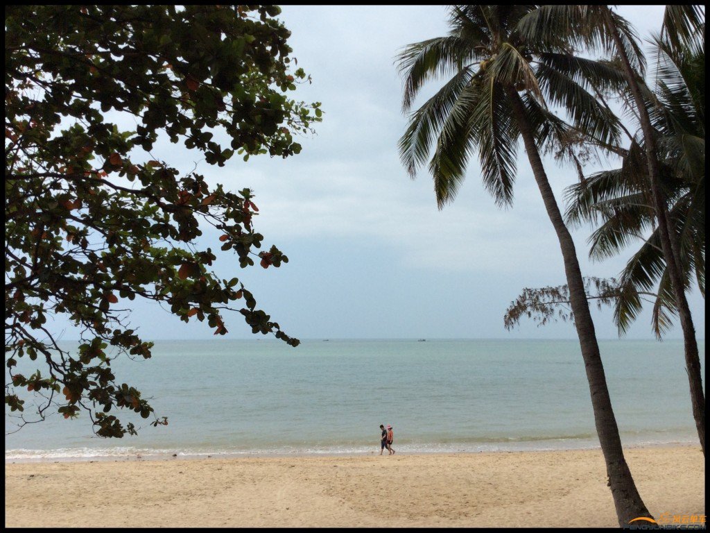 conew_照片 349.jpg