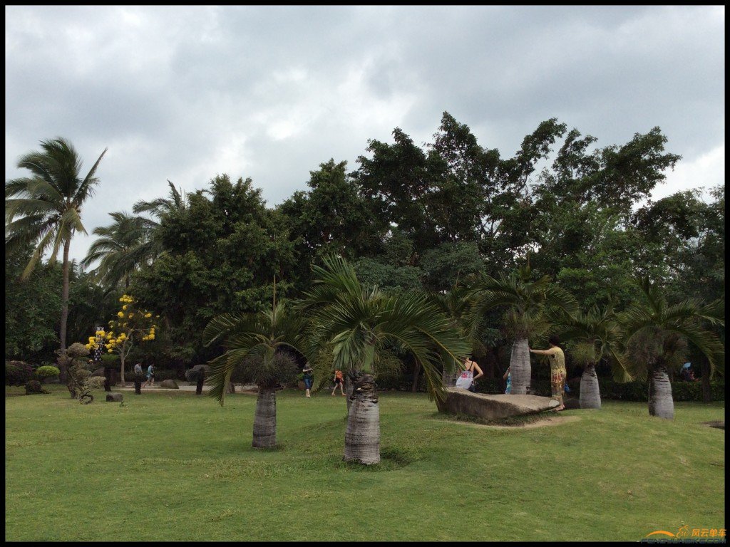 conew_照片 358.jpg