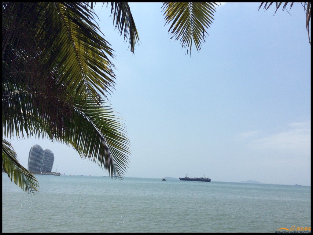 conew_照片 360.jpg