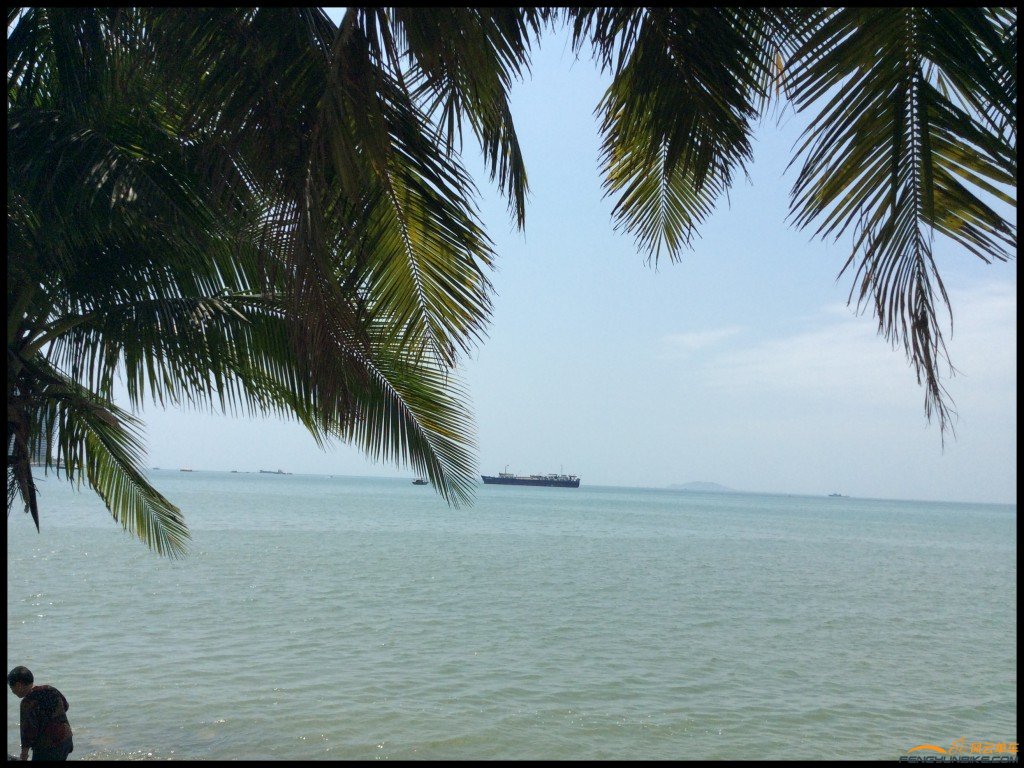 conew_照片 449.jpg