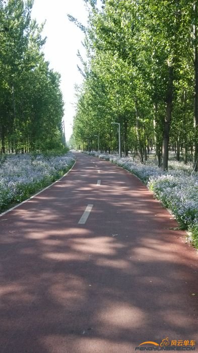 我看不用去别的地方骑车了，就在这里绕圈玩就很美了