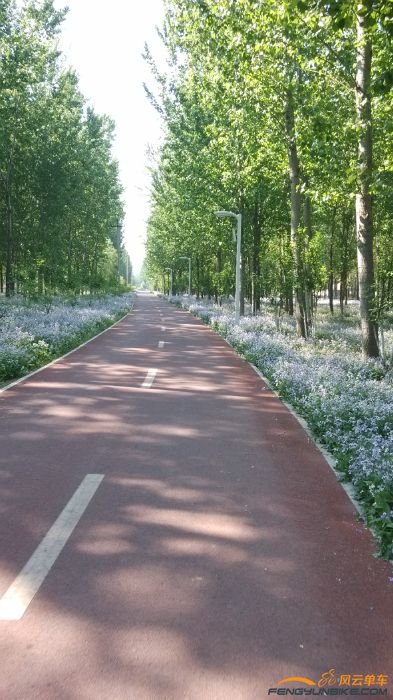 这样的路上骑车是不是超爽
