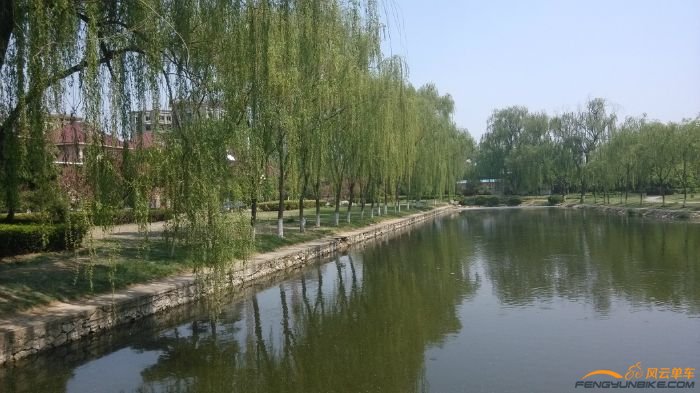 小区内的湖，有人在钓鱼