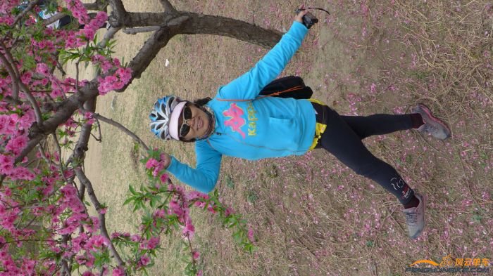 还是满队会造型。