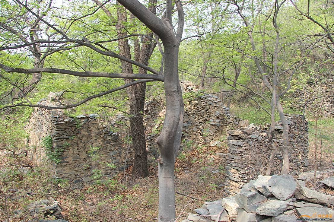 去东山村的路上。这房子是不是满清时期的？