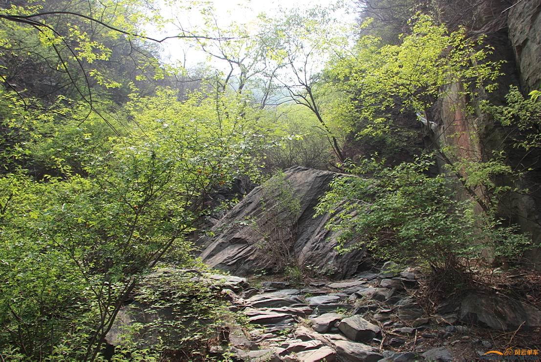 路上的风景有水更美