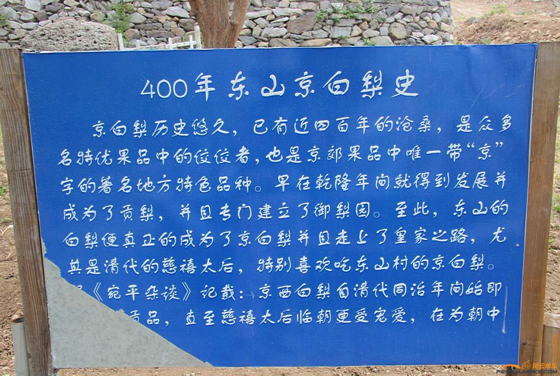 真他妈差劲！给撕了一半。