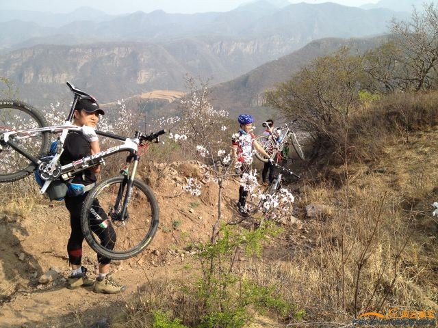 大家长兼高级技师崔哥