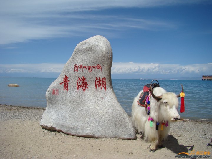青海湖2.jpg