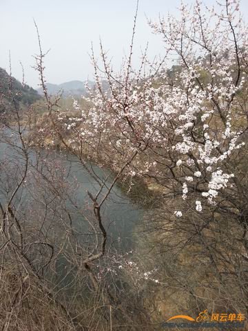 调整大小 20140412_123425_1.jpg