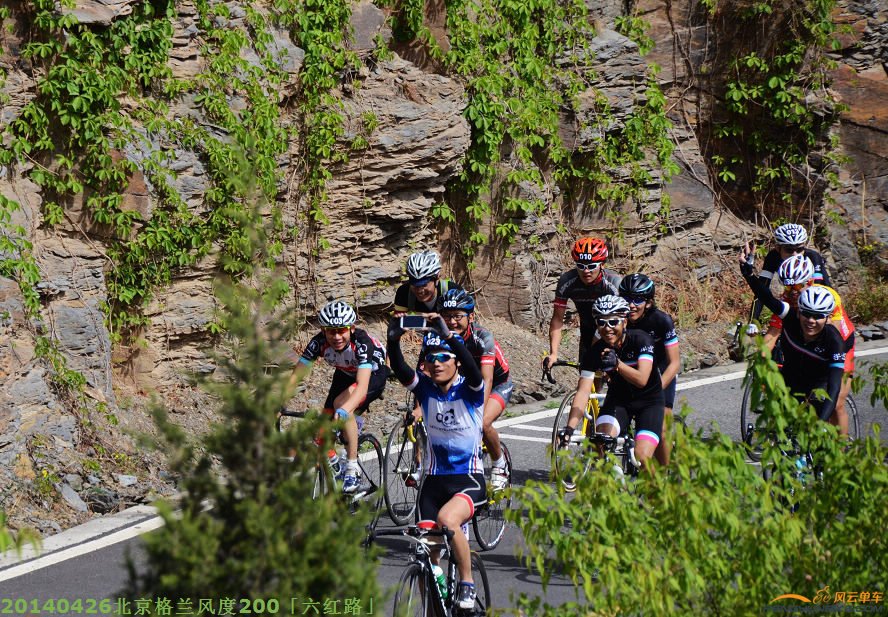 DSC_3113 - 副本.JPG