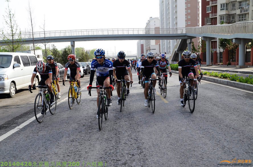 DSC_2675 - 副本.JPG