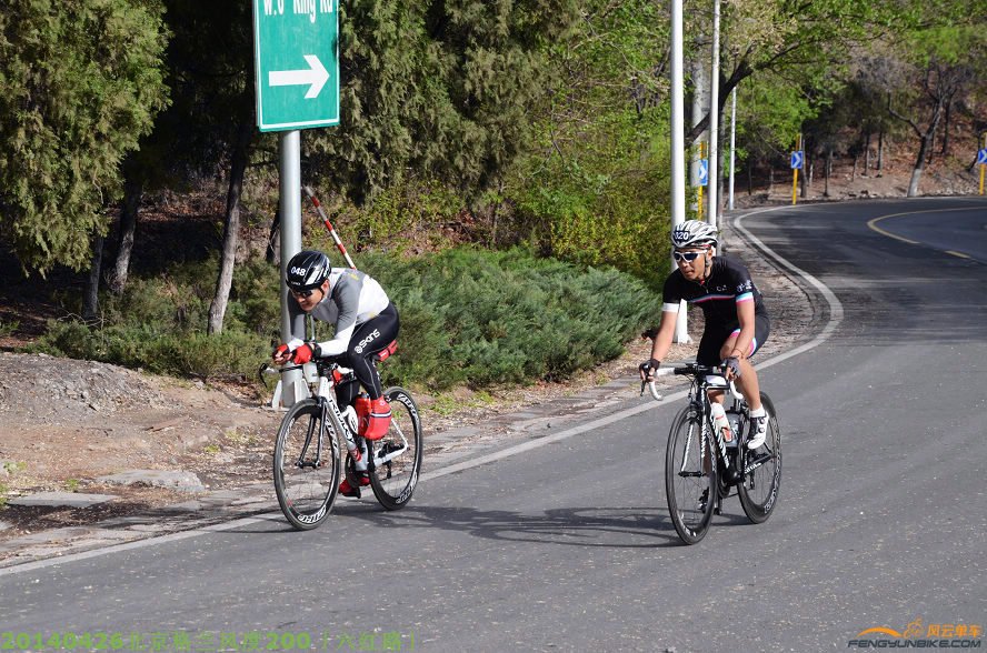 DSC_2790 - 副本.JPG