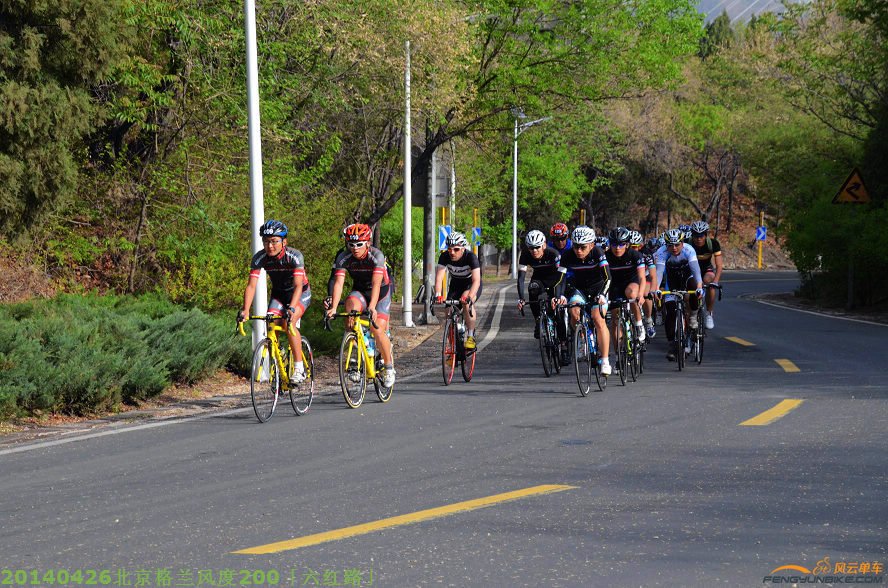 DSC_2799 - 副本.JPG