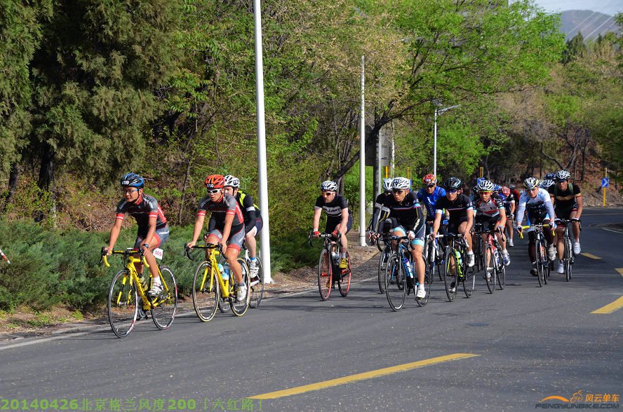 DSC_2801 - 副本.JPG