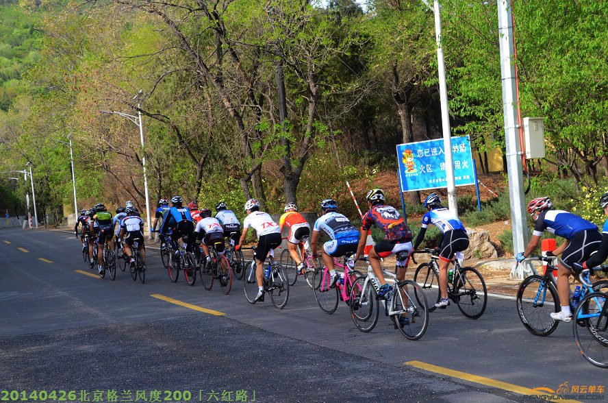 DSC_2811 - 副本.JPG