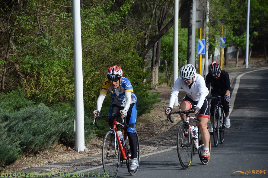 DSC_2852 - 副本.JPG