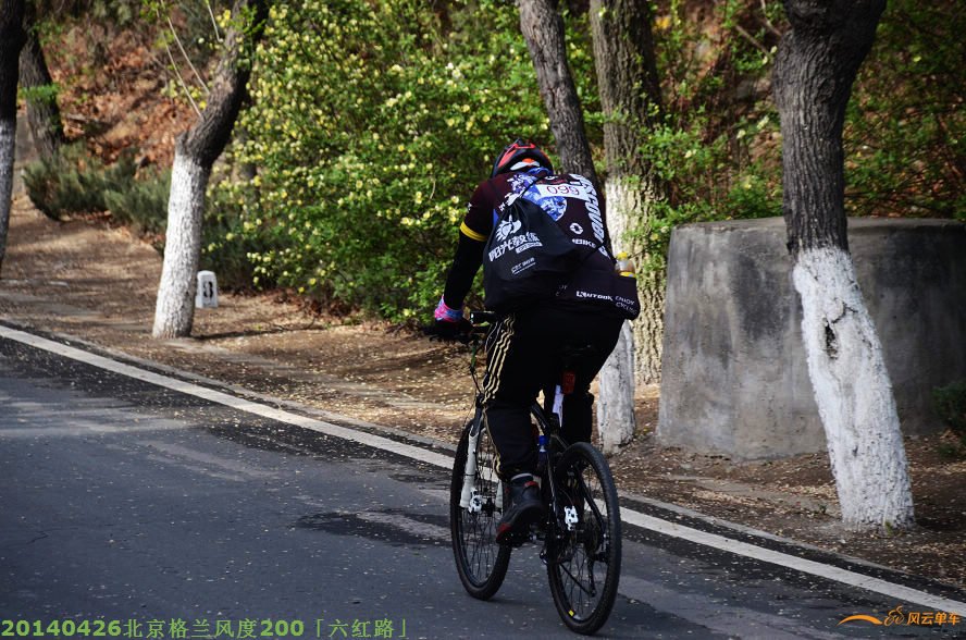 DSC_2878 - 副本.JPG