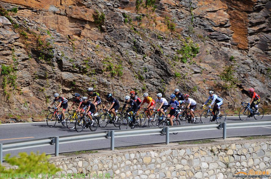 DSC_3106 - 副本.JPG