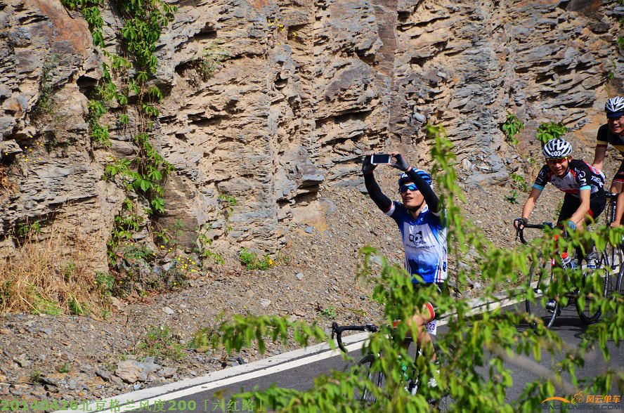 DSC_3114 - 副本.JPG