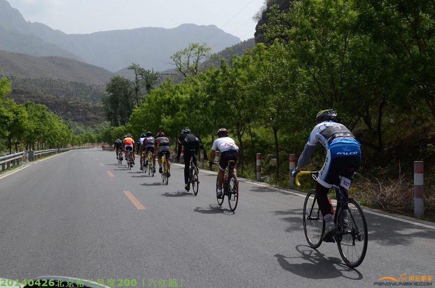 DSC_3254 - 副本.JPG