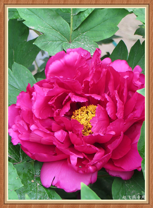 照片 4384_副本_副本.jpg