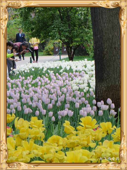 照片 4473_副本.jpg