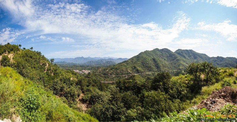 风景2-大乌龟摄