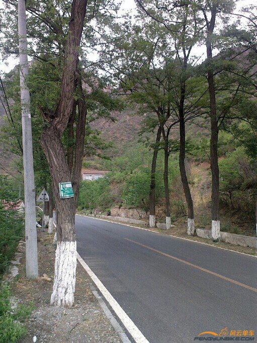 整洁的山路.jpg