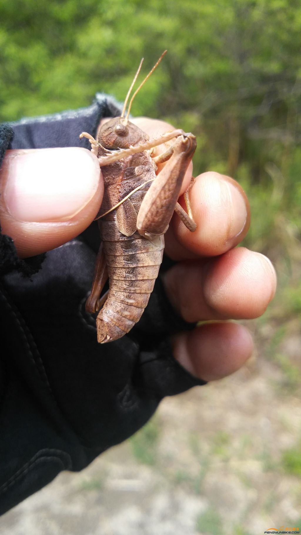 手机 347_副本.jpg