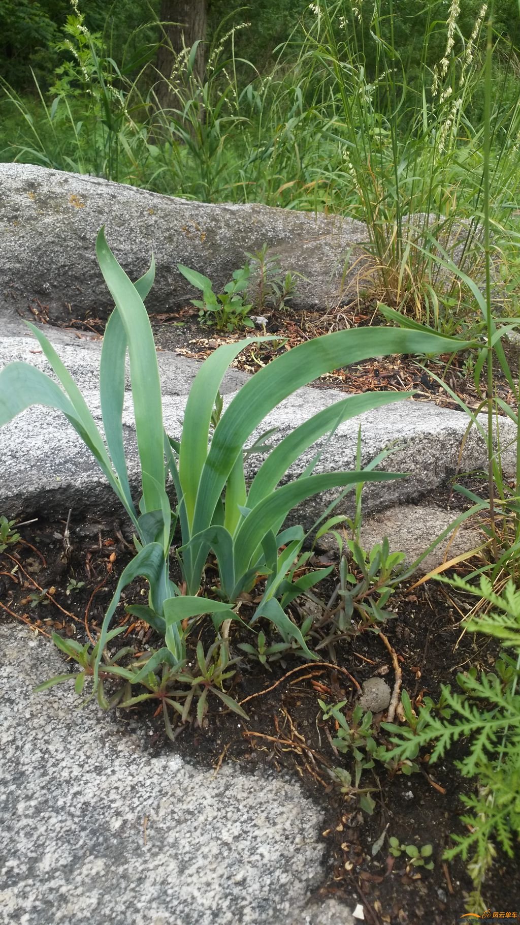 手机 379_副本.jpg