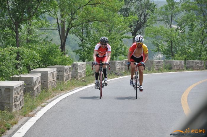 “神兽”与“梅花”