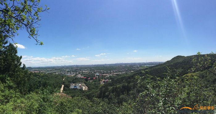 这可见度，难以置信啊