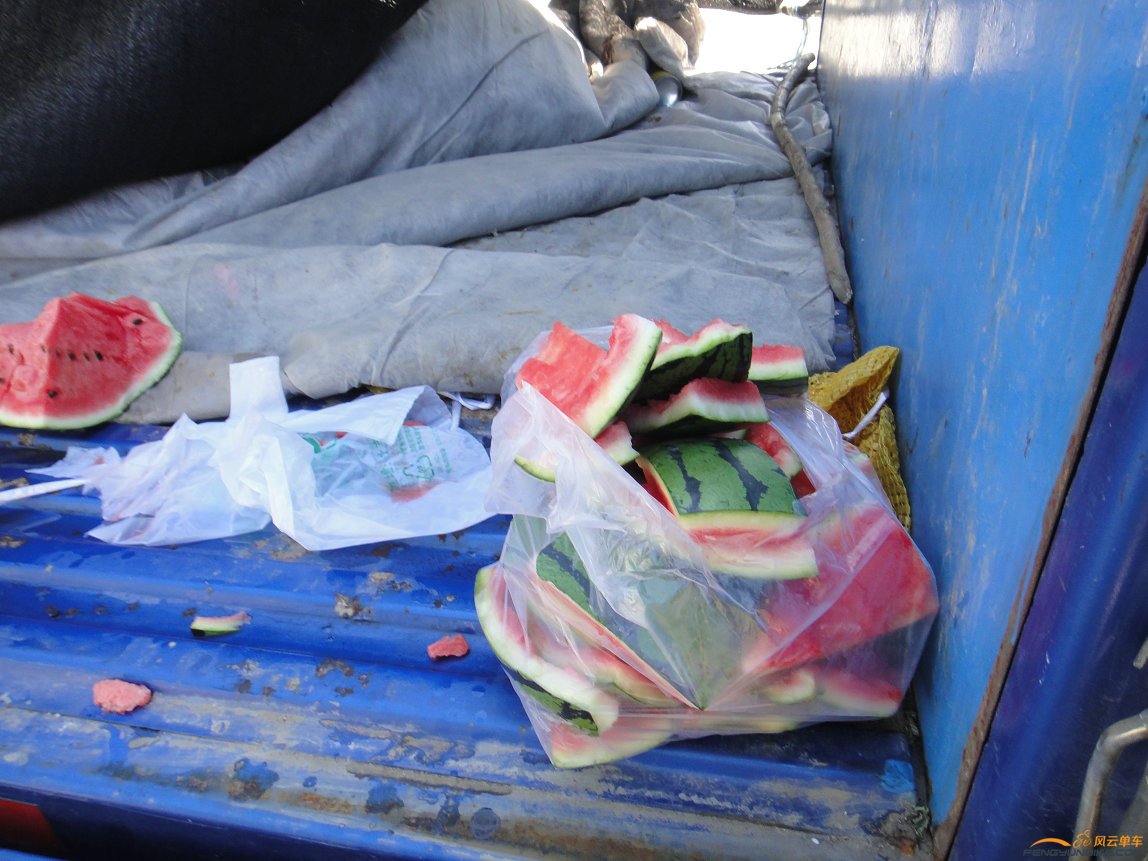 给兔子吃的瓜皮