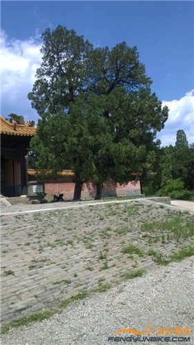 裕陵 正统 天顺11.jpg