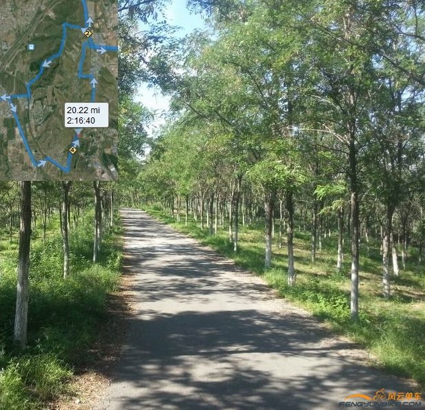 Resize of 20140712_083224.jpg