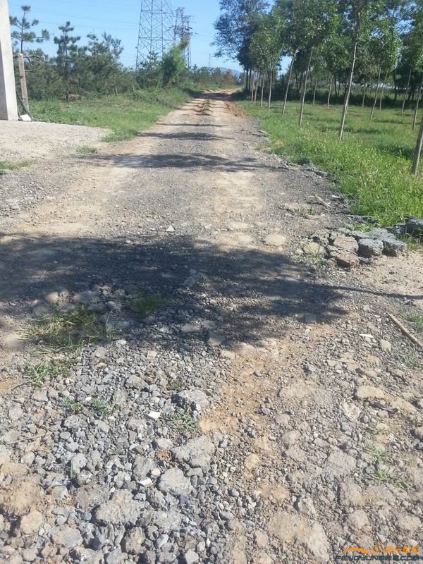 Resize of 20140712_084855.jpg