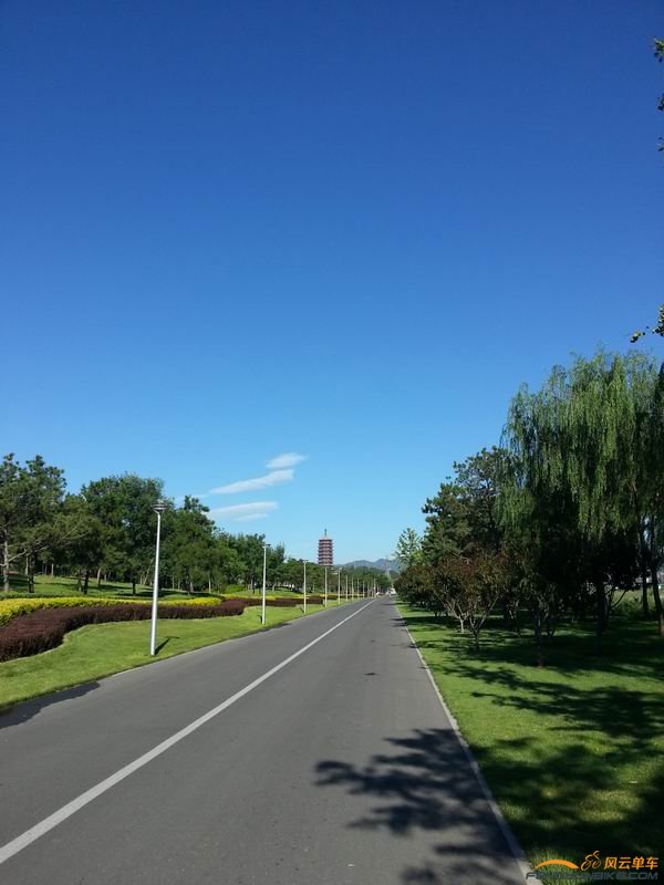 Resize of 20140713_080522.jpg