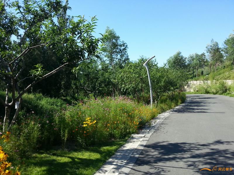 Resize of 20140713_084138.jpg