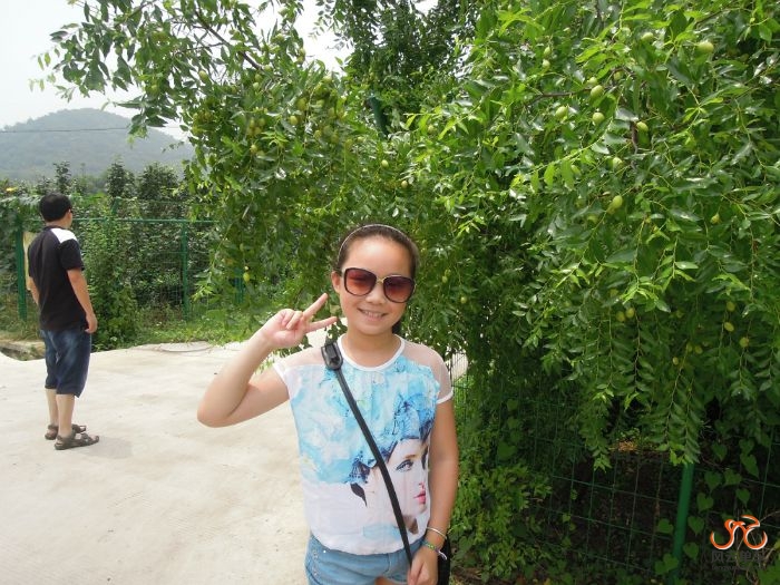 城西树山村一景